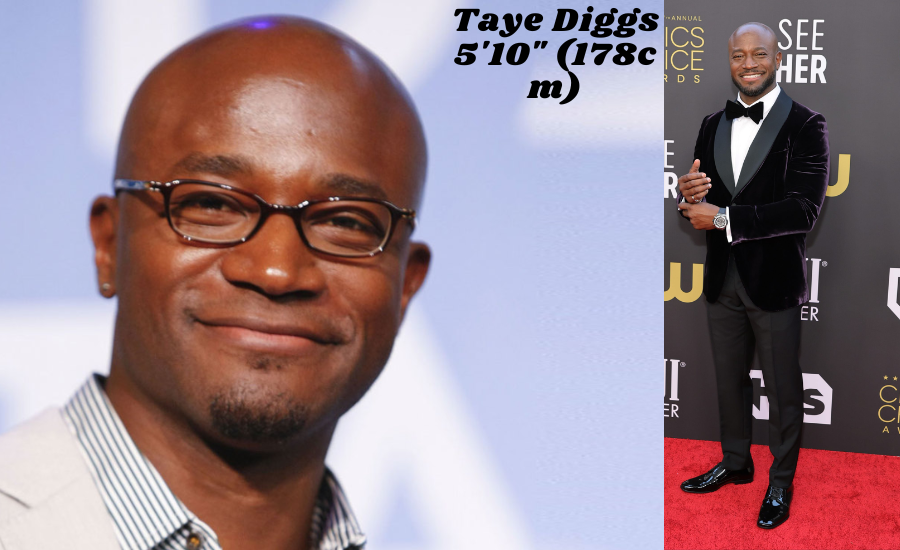 Taye Diggs Height: A Look at His Career, Relationships, and Net Worth
